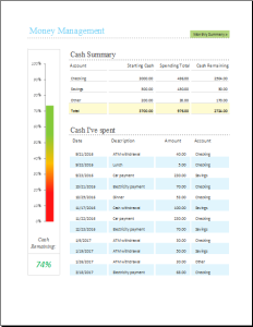 Money Management Template for EXCEL .xls | Excel Templates