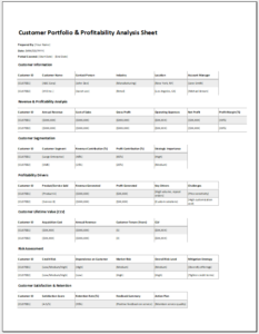 Customer Portfolio & Profitability Analysis Sheet | Save