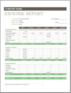 Daily, Weekly & Monthly Expense Report Template | Excel Templates