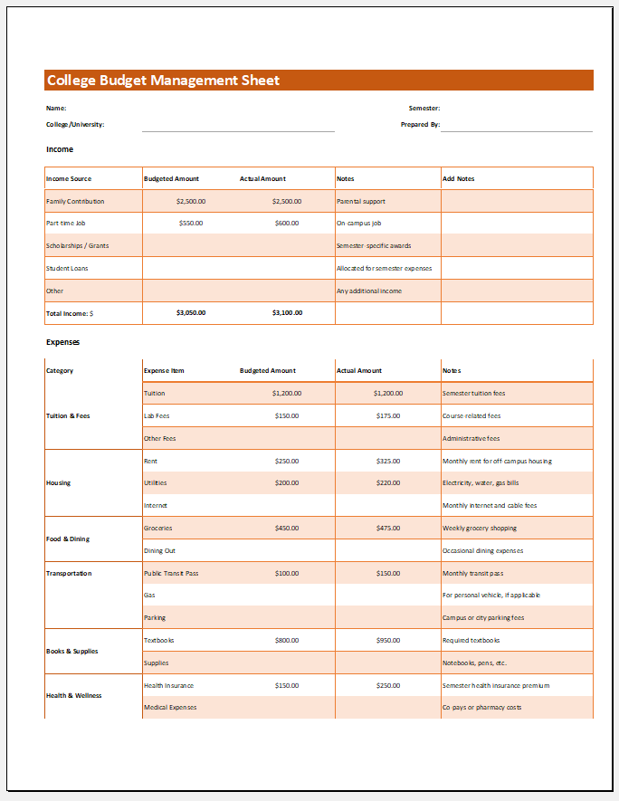 College Budget Management Sheet Template